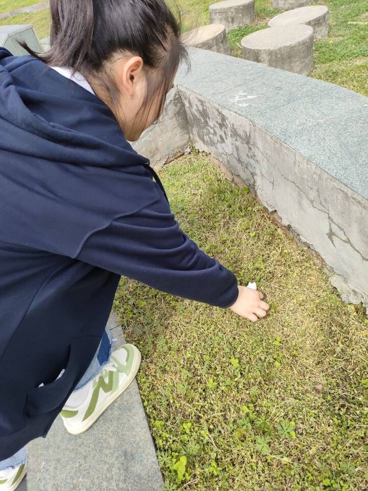 ok138太阳集团